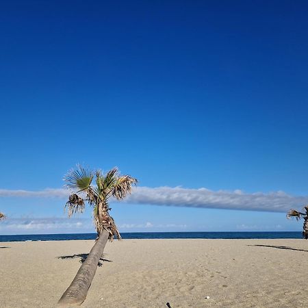 Appartement Front De Mer Le Barcarès Dış mekan fotoğraf