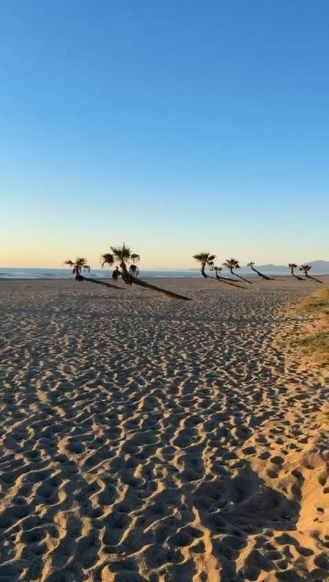 Appartement Front De Mer Le Barcarès Dış mekan fotoğraf